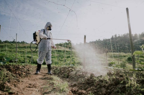 Best Ant Control Services  in Kutztown University, PA