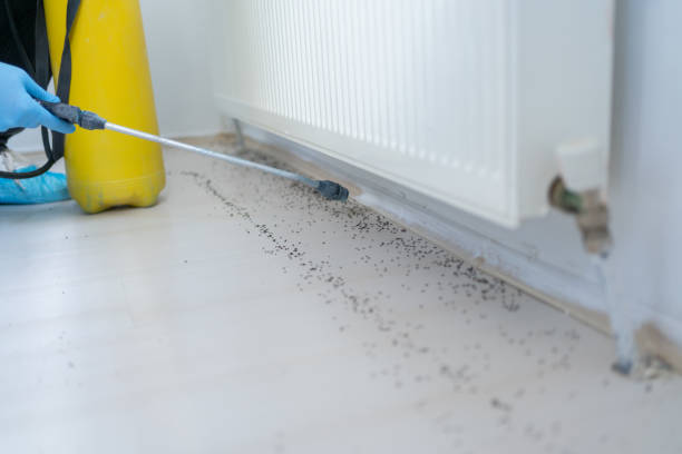 Best Commercial Pest Control Services  in Kutztown University, PA