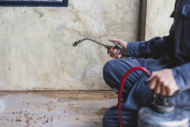Wasp Removal Services in Kutztown University, PA